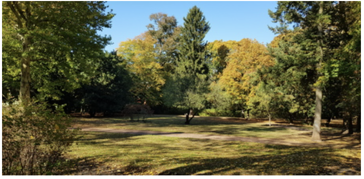 Brosepark in Niederschönhausen